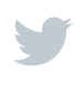 twitter-icon